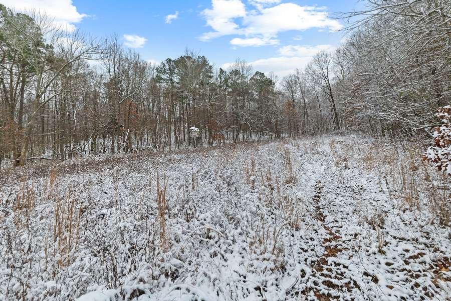 35-0 Waggener Ch-Chalbeate Rd Clay KY 42404_20251203_035.jpg